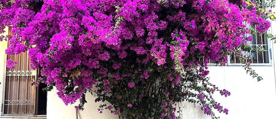 House 10 rooms of 600 m² in Pescara (65124)