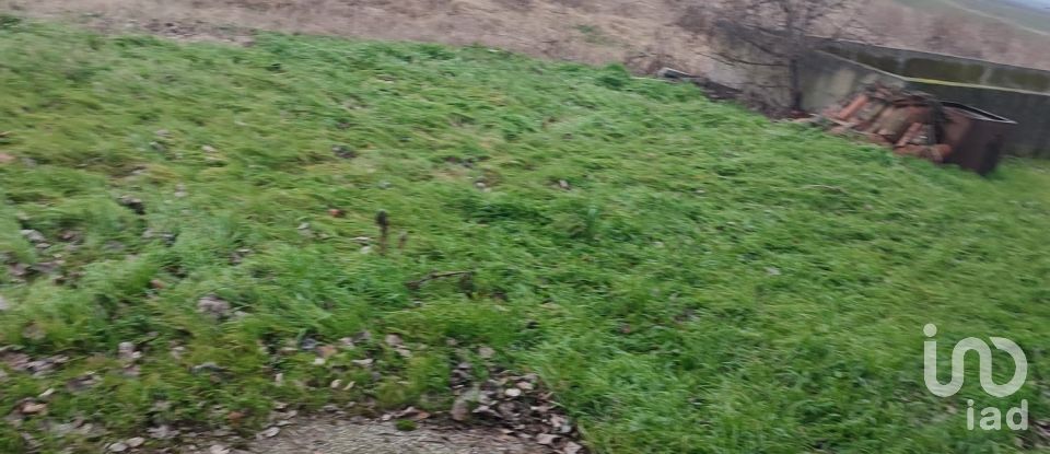 Rustico 9 locali di 783 m² in Lozzo Atestino (35034)