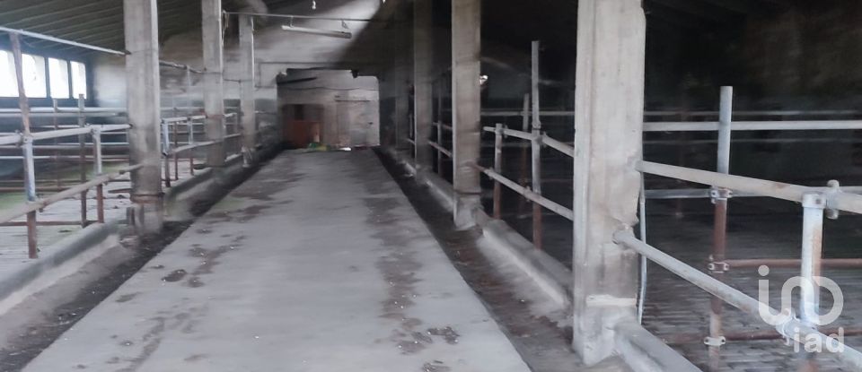 Rustico 9 locali di 783 m² in Lozzo Atestino (35034)