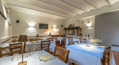 Ristorante di 236 m² in Treia (62010)