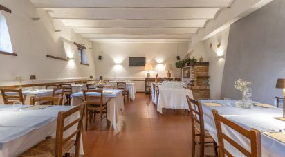 Ristorante di 236 m² in Treia (62010)
