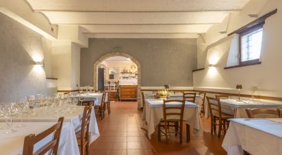 Ristorante di 236 m² in Treia (62010)