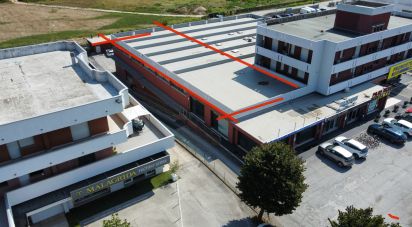 Warehouse of 549 m² in Civitanova Marche (62012)