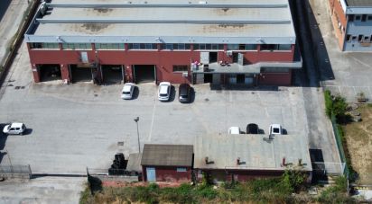 Warehouse of 549 m² in Civitanova Marche (62012)