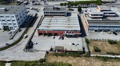 Warehouse of 549 m² in Civitanova Marche (62012)