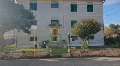 Loft 3 locali di 71 m² a Montemarciano (60018)