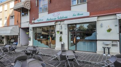 Bar di 355 m² in Portomaggiore (44015)