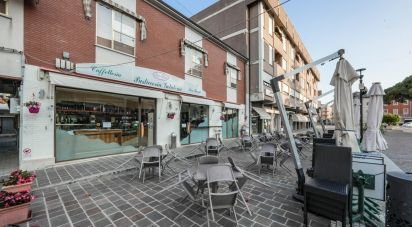 Bar di 355 m² in Portomaggiore (44015)