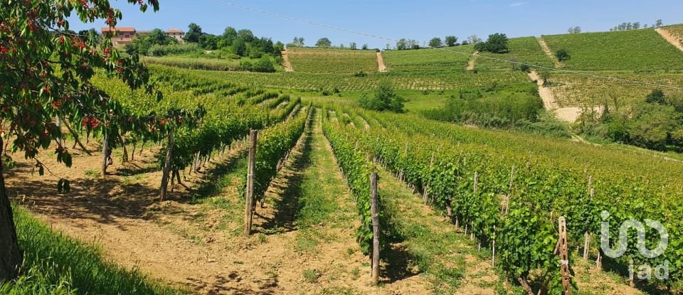 Casa indipendente / Villa 13 locali di 370 m² in Castelletto Molina (14040)