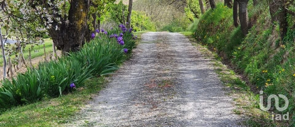 Casa indipendente / Villa 13 locali di 370 m² in Castelletto Molina (14040)