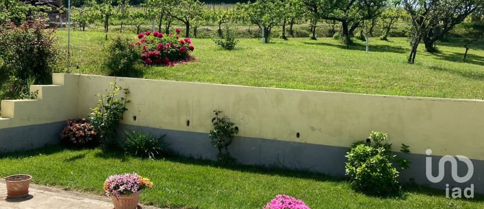 Casa indipendente / Villa 13 locali di 370 m² in Castelletto Molina (14040)