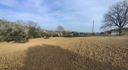 Farm land of 51,520 m² in Montefiore dell'Aso (63062)