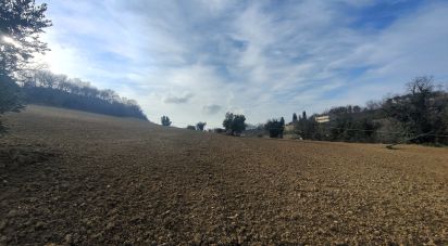 Terreno agricolo di 51.520 m² in Montefiore dell'Aso (63062)