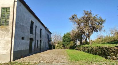 Country home 7 rooms of 223 m² in Melazzo (15010)
