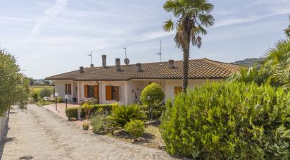 Casa indipendente / Villa 12 locali di 323 m² in Ancona (60121)