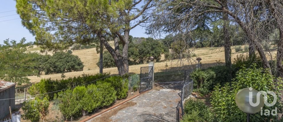 House 12 rooms of 323 m² in Ancona (60121)