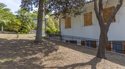 Casa indipendente / Villa 12 locali di 323 m² in Ancona (60121)