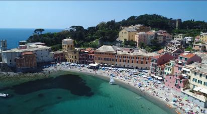 Negozio / locale commerciale di 35 m² in Sestri Levante (16039)
