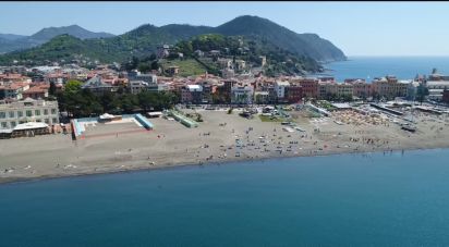 Negozio / locale commerciale di 35 m² in Sestri Levante (16039)