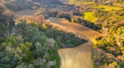 Rustico 7 locali di 280 m² in Grottammare (63066)