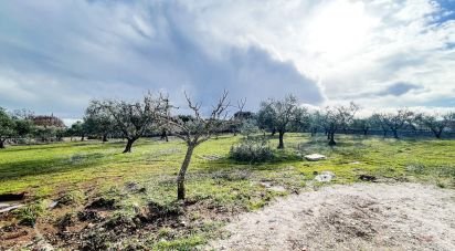 Trullo 3 locali di 78 m² in Martina Franca (74015)
