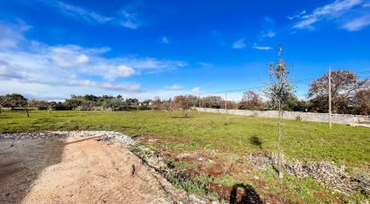 Trullo 3 locali di 78 m² in Martina Franca (74015)