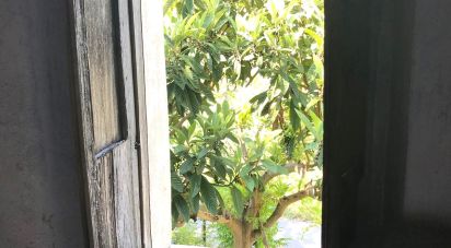 Country home 5 rooms of 95 m² in Belmonte Calabro (87033)