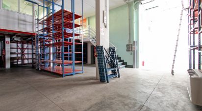 Negozio / locale commerciale di 440 m² in Roma (00128)