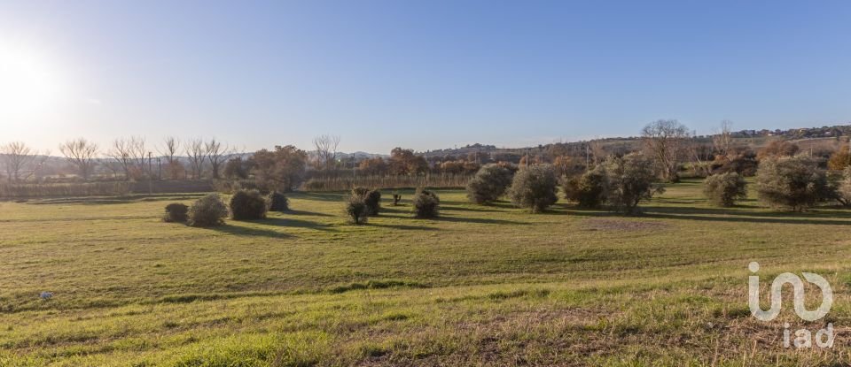 Two-room apartment of 65 m² in Sirolo (60020)