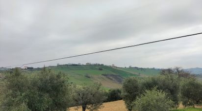 Casa indipendente 0 locali di 240 m² in Torre San Patrizio (63814)