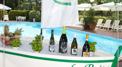 Shop / premises commercial of 800 m² in Arcevia (60011)