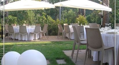 Negozio / locale commerciale di 800 m² in Arcevia (60011)