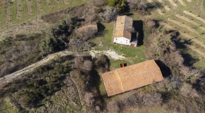 Rustico 10 locali di 222 m² in San Paolo di Jesi (60038)