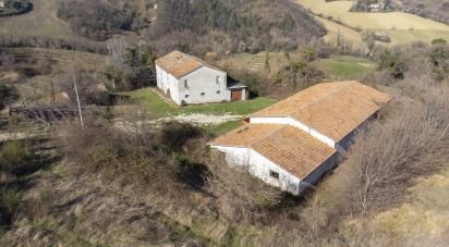 Rustico 10 locali di 222 m² in San Paolo di Jesi (60038)