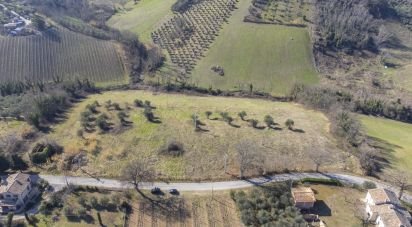 Terreno di 28.173 m² in San Paolo di Jesi (60038)
