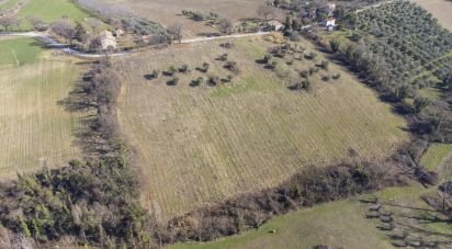 Terreno di 28.173 m² in San Paolo di Jesi (60038)