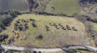 Terreno di 28.173 m² in San Paolo di Jesi (60038)