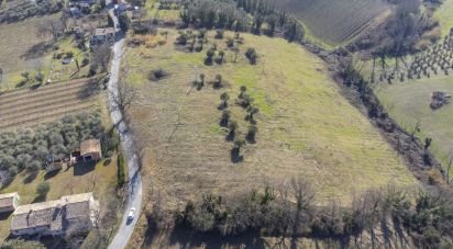 Terreno di 28.173 m² in San Paolo di Jesi (60038)