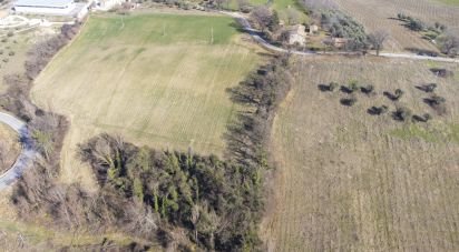 Terreno di 28.173 m² in San Paolo di Jesi (60038)