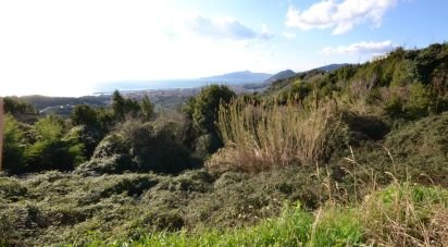 Terreno di 8.000 m² in Lavagna (16033)