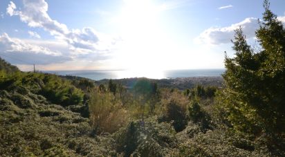 Terreno di 8.000 m² in Lavagna (16033)