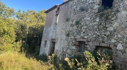 Farm land of 80,000 m² in Monterotondo Marittimo (58025)