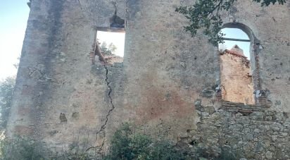 Farm land of 80,000 m² in Monterotondo Marittimo (58025)