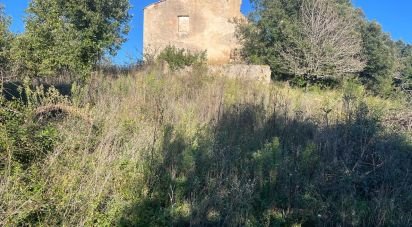 Farm land of 80,000 m² in Monterotondo Marittimo (58025)