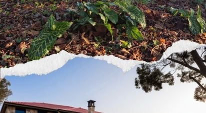 Country home 9 rooms of 850 m² in Cervarese Santa Croce (35030)