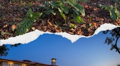 Country home 9 rooms of 850 m² in Cervarese Santa Croce (35030)