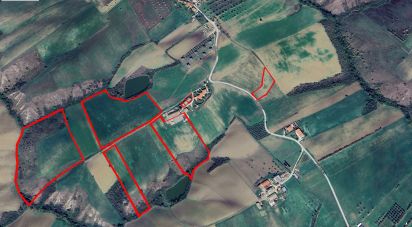 Casa indipendente / Villa 15 locali di 303 m² in Bellante (64020)