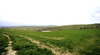 Casa indipendente / Villa 15 locali di 303 m² in Bellante (64020)