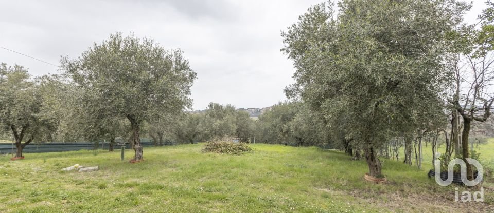 Casa indipendente / Villa 5 locali di 125 m² in Civitanova Marche (62012)