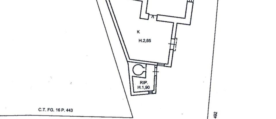 Horses property 3 rooms of 70 m² in Cisternino (72014)